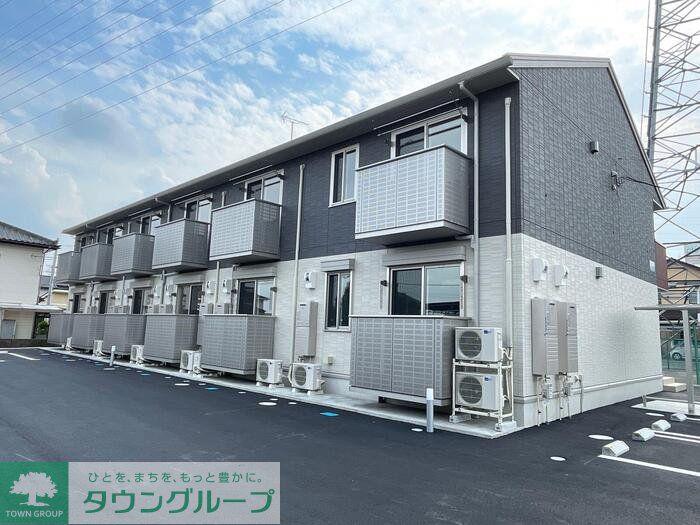 どんぐり3号