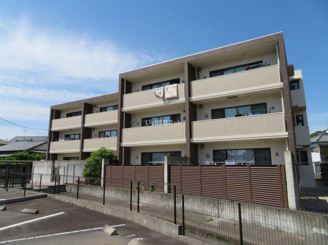 LIENはなみずき