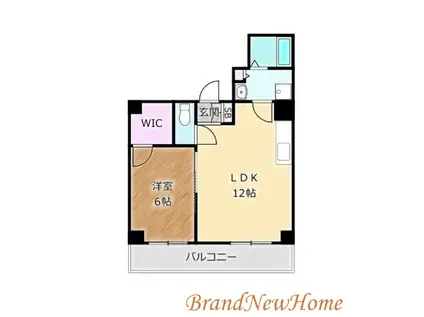 シティーコート北瓦町(1LDK/3階)の間取り写真