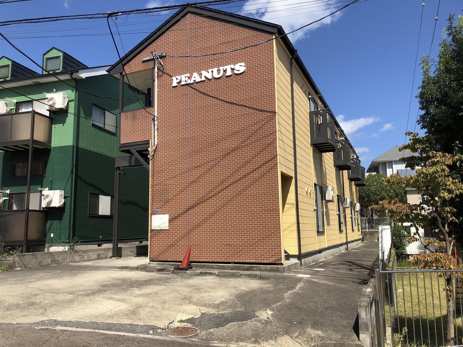 PEANUTS 8