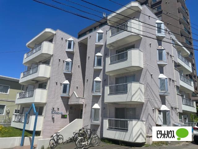 ΑNEXT澄川