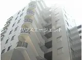 エイトジャパンシーダ