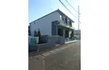 サンセール クスノキ