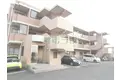 コートカメリア