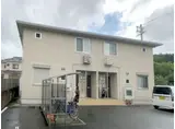 ウィット狐井