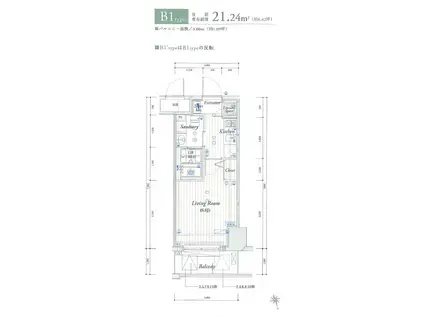 THEパームス東武練馬(1K/10階)の間取り写真