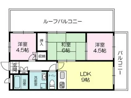 ゼニスコート(3LDK/2階)の間取り写真
