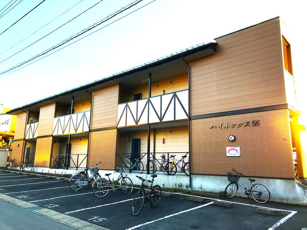 ハイネックス56