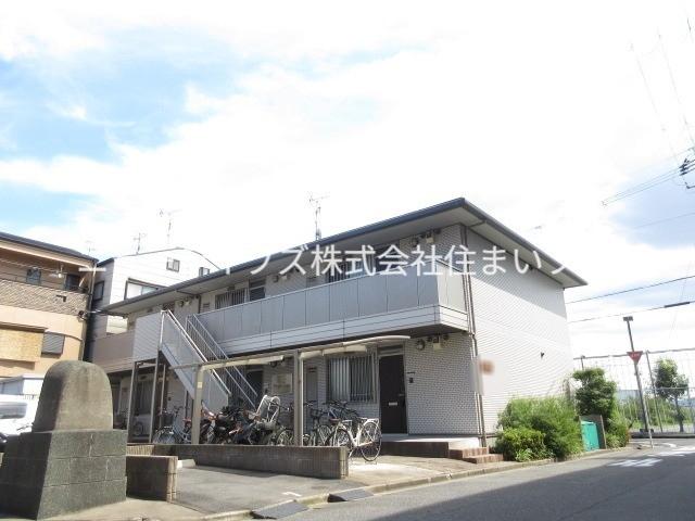 メープル