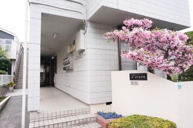 エソール千川(1K/2階)の外観写真