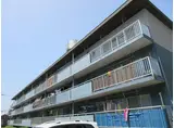 サルヴァトーレ大橋 2