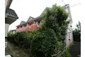 テラストネC