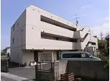 サンテルモ市村