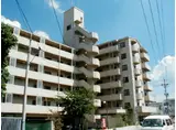 セントラルハイツ東側