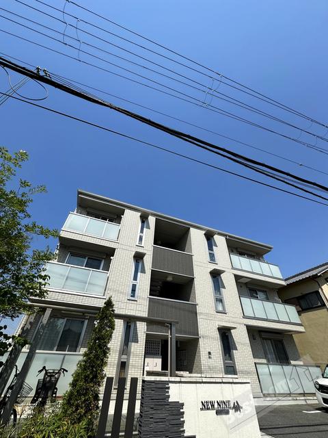 ニューナイン