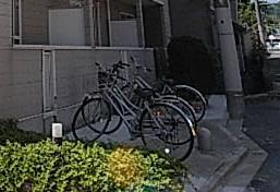 エクセルコート