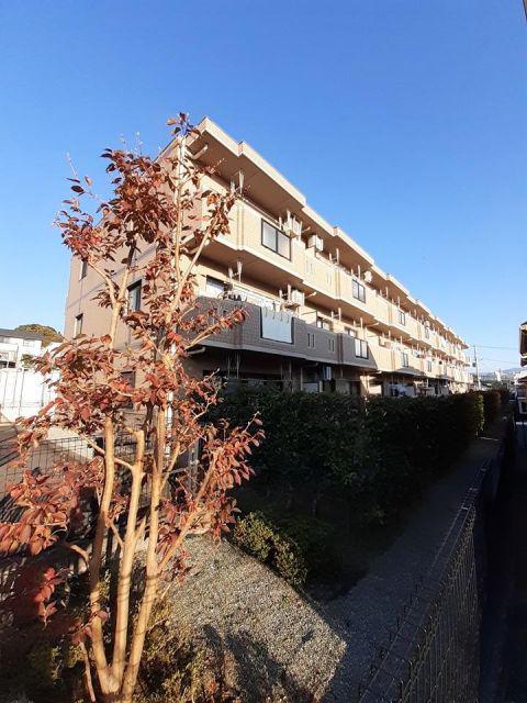 グリーングラスS