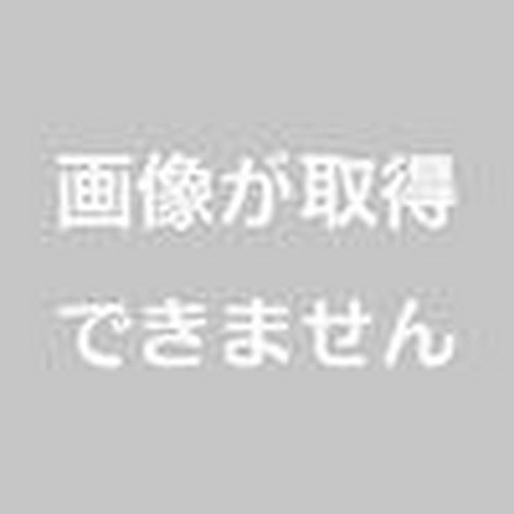 Door賃貸 ボナールヤマサ 1ldk 3階