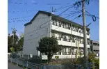 島川ハイツ