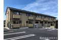 アムール シェノン