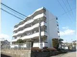 ハイグレードカワサキ