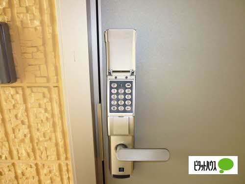 ヴィータD