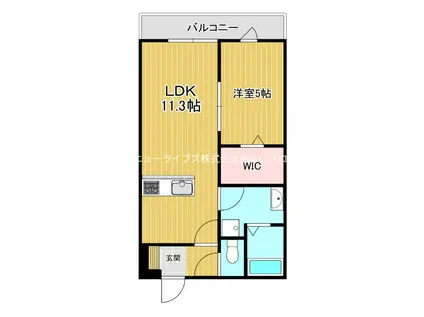 ミストラル(1LDK/2階)の間取り写真