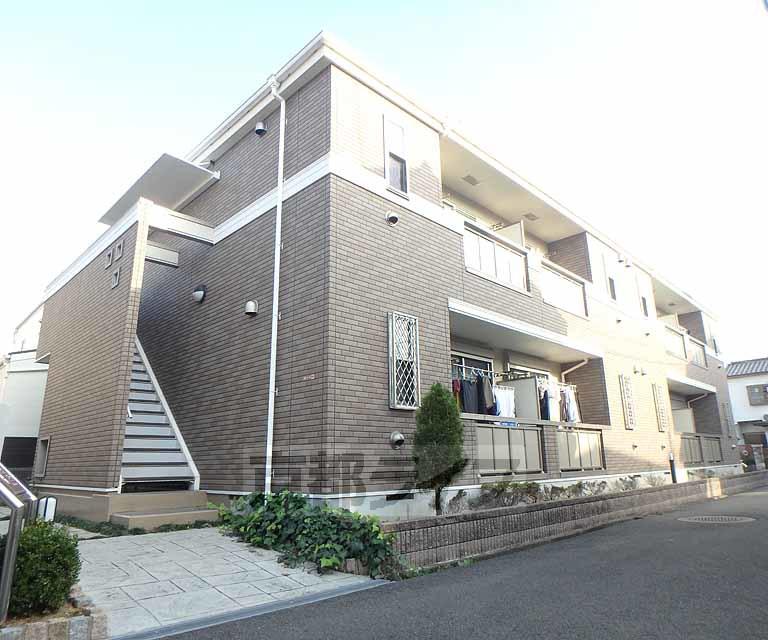 シトラスコート
