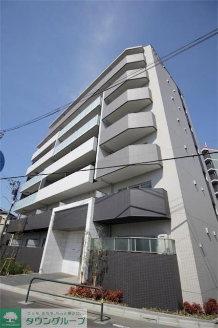 ホワイル椿