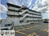 スパークルムライ