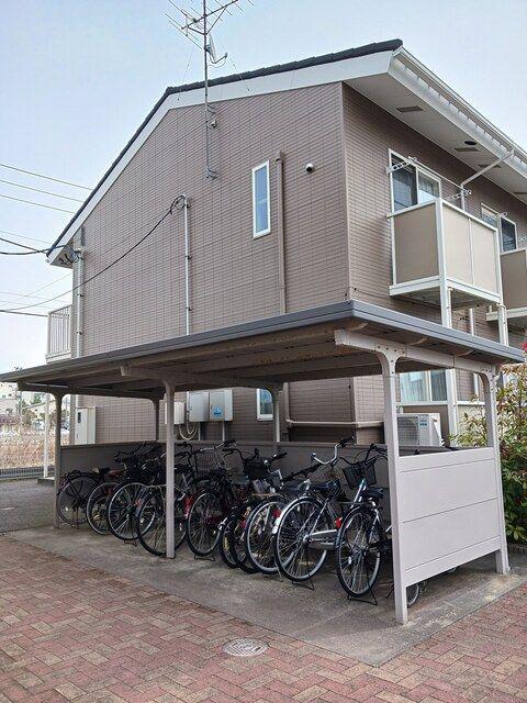 メアリーローズB