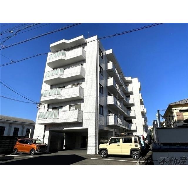 シティ・オーガ