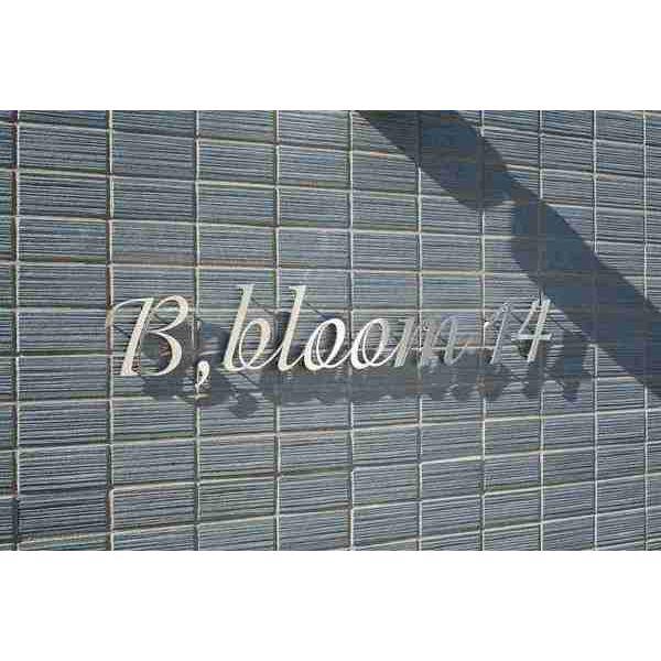 BBLOOM 14