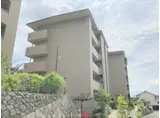 男山E団地10棟