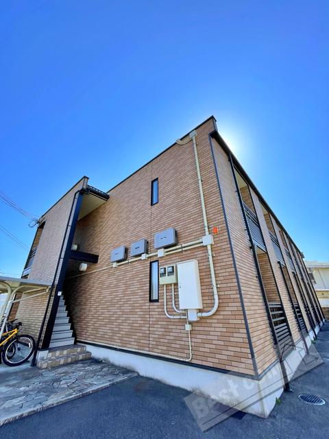 レオネクスト杉