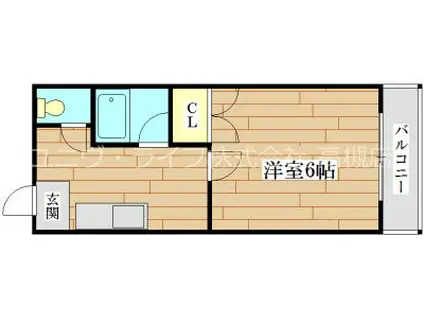 ヴィラサカイ(1K/1階)の間取り写真