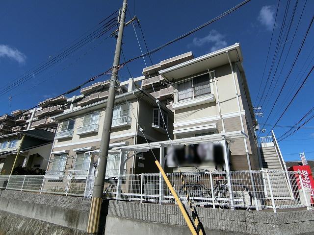 メゾンマーメイド