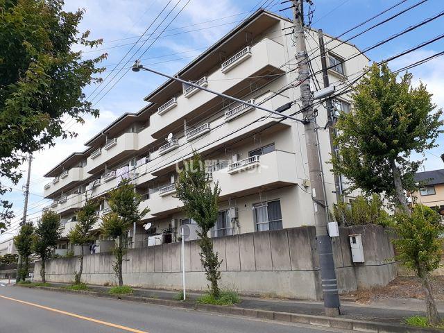 ホワイトピア江島台(3LDK/3階)