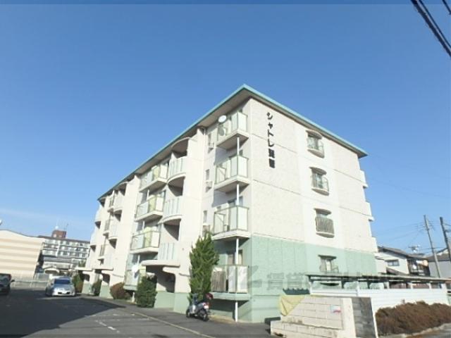 シャトレ琵琶