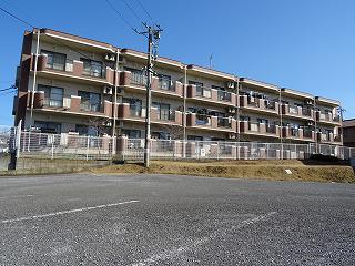 ユーミー富里(3DK/1階)