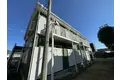 サンフラワーA