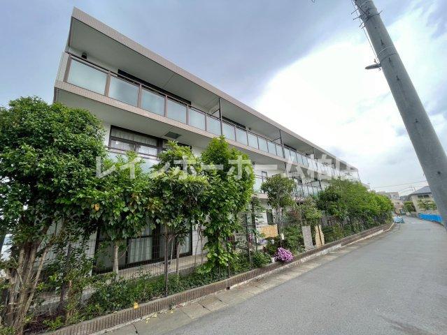モラダあけぼの