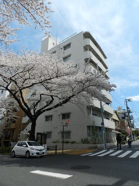 小石川播磨坂ハイツ