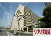 リーベスト西千葉(3LDK/12階)