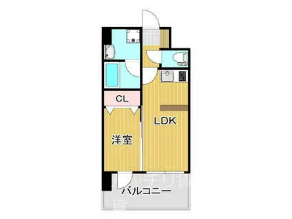 アルファシオ レヴァーク(1LDK/2階)の間取り写真