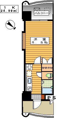 ロイヤル日赤通(1K/14階)の間取り写真
