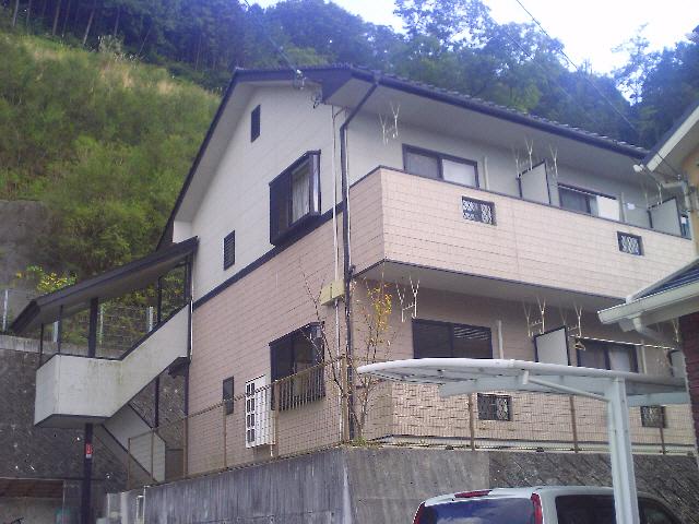ハイム花の季