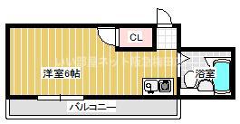 信和マンション(ワンルーム/1階)の間取り写真