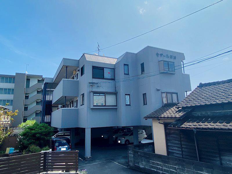 セザール田迎