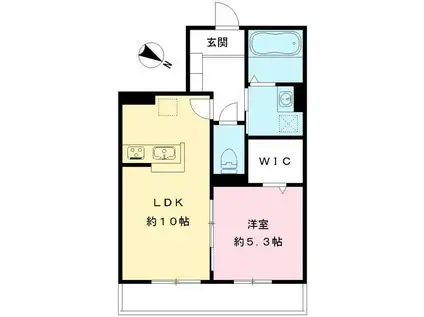 GRAND TORTUE DEUX グラントルチェドゥ(1LDK/1階)の間取り写真